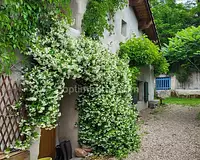 Maison, 173 m²