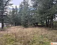Terrain, 1 135 m²