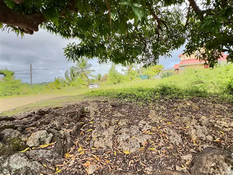 Terrain, 1 000 m²