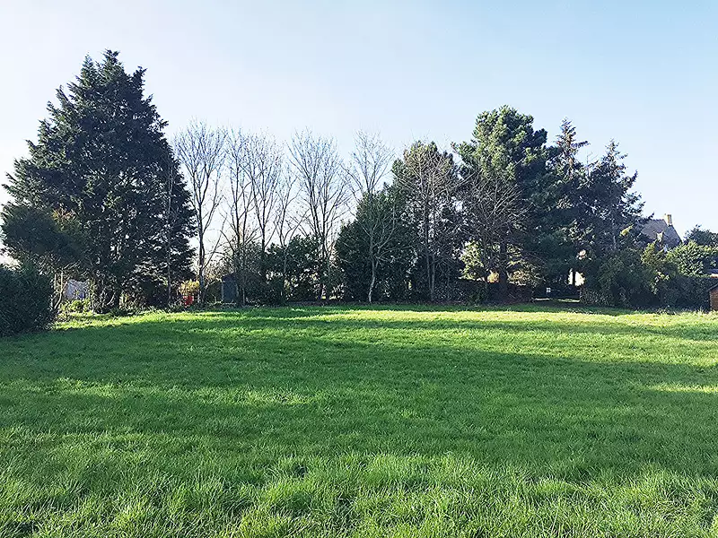 Terrain, 978 m²