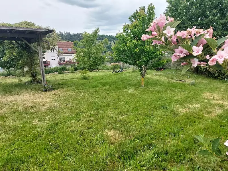 Terrain, 478 m²