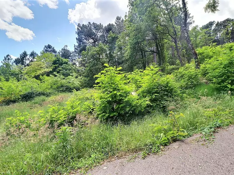 Terrain, 1 748 m²