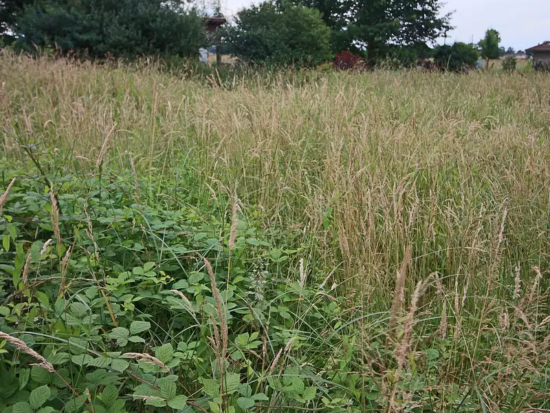 Terrain, 1 531 m²