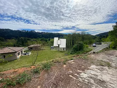 Terrain