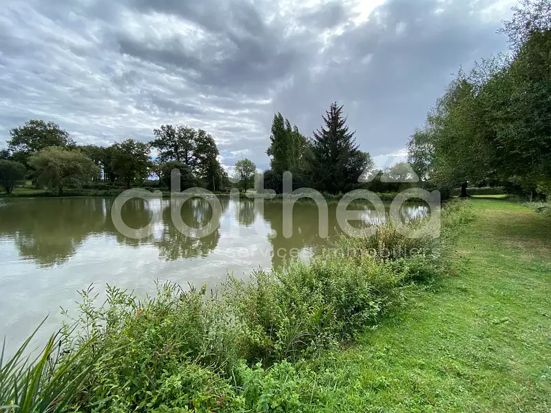 Terrain, 25 228 m²