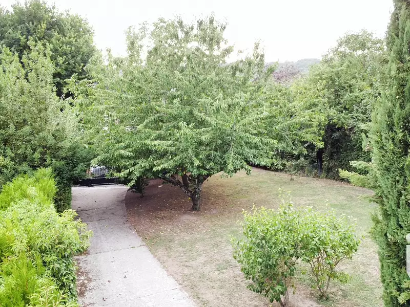 Maison, 229 m²