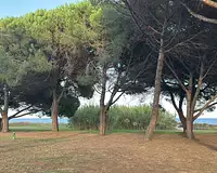 Appartement, 34,5 m²