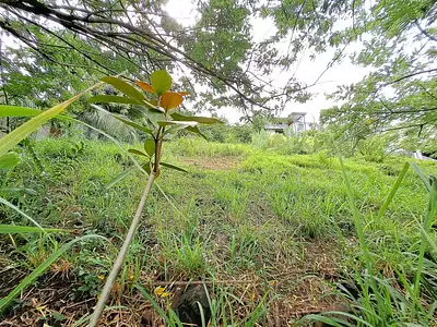 Terrain, 922 m²