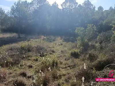 Terrain, 5 224 m²