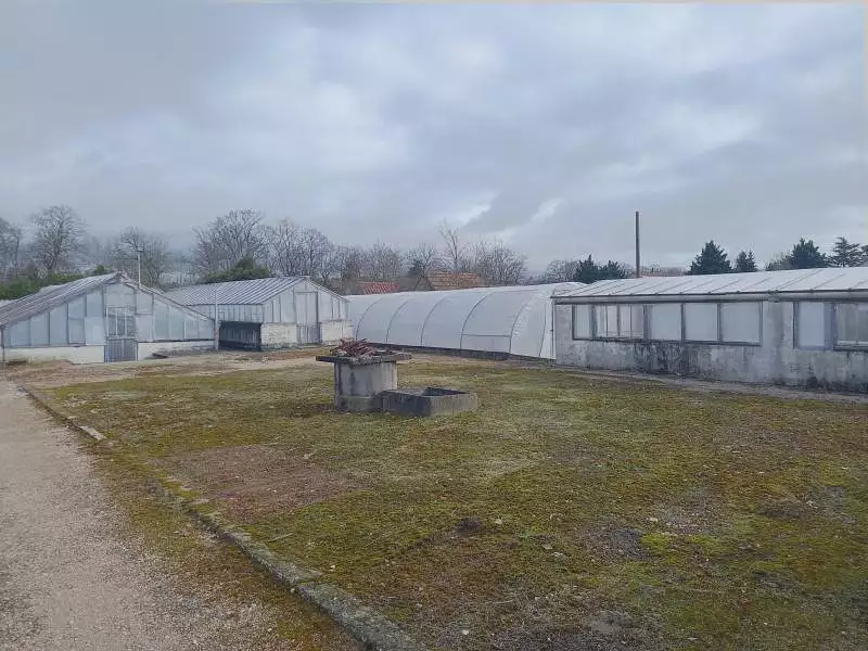 Terrain, 6 000 m²