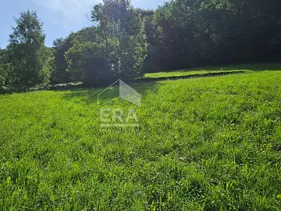 Terrain, 3 385 m²