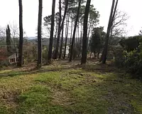 Terrain, 2 514 m²