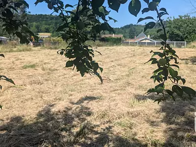 Terrain, 1 469 m²