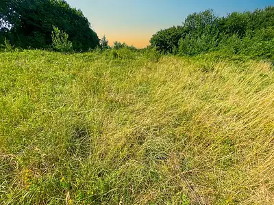 Terrain, 1 200 m²