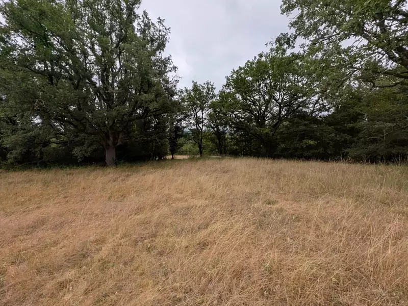 Terrain, 8 740 m²