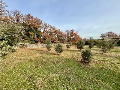 Terrain, 1 205 m²