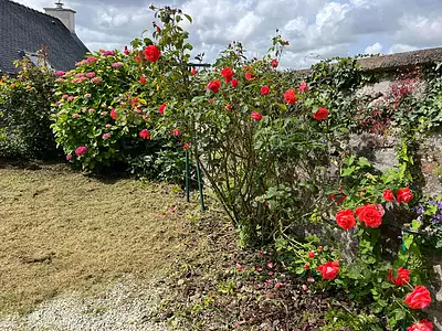 Maison, 126 m²
