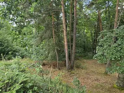 Maison, 88 m²