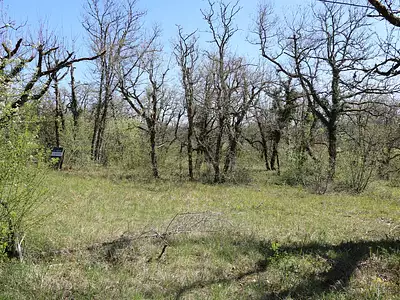 Terrain, 2 508 m²
