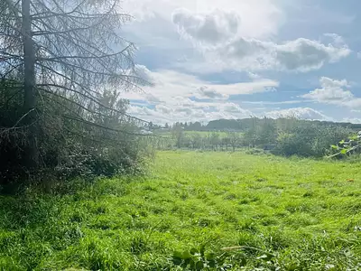 Terrain, 1 584 m²