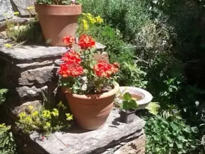 Maison, 84 m²