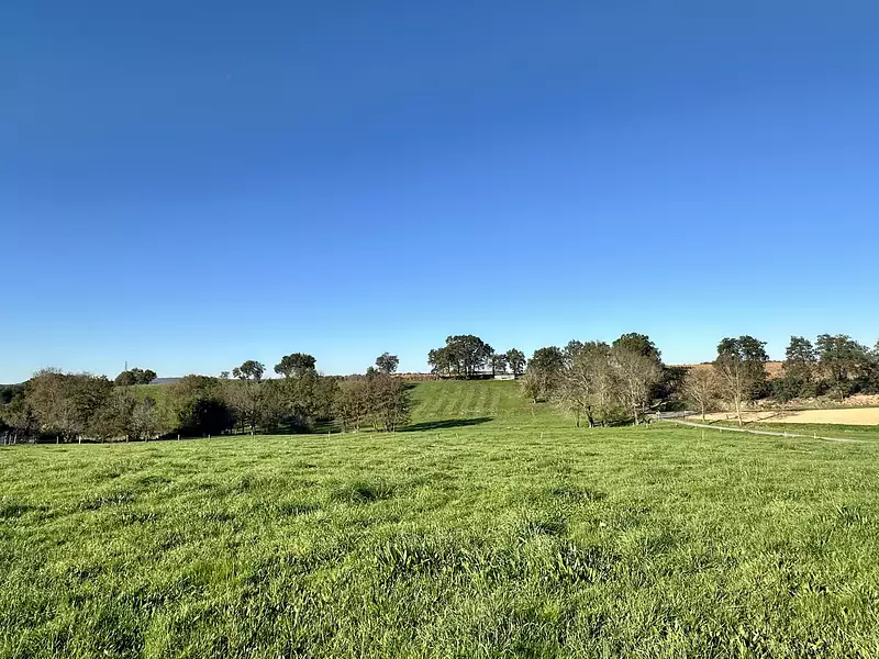 Terrain, 775 m²