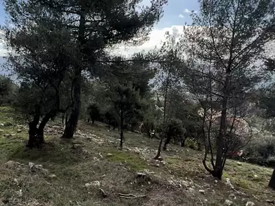 Terrain, 2 452 m²