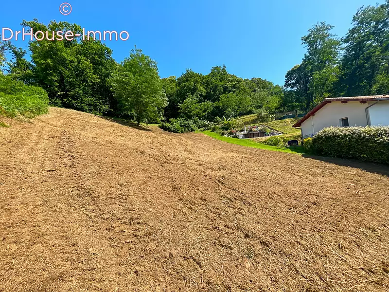Terrain, 1 237 m²