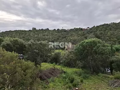 Terrain, 1 550 m²