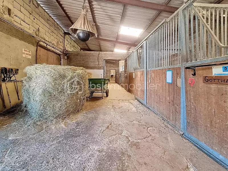 Maison, 250 m²