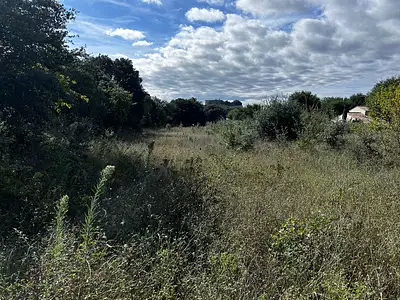 Terrain, 1 200 m²