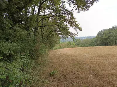 Terrain, 33 821 m²