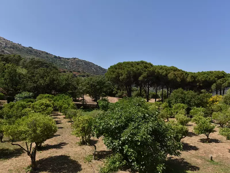 Maison, 235 m²