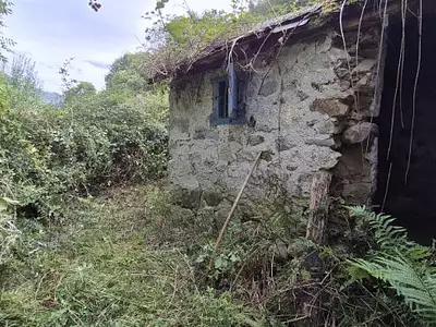 Maison, 71 m²