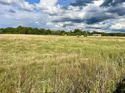 Terrain, 10 000 m²