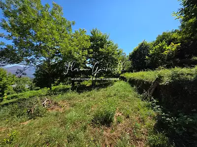 Terrain