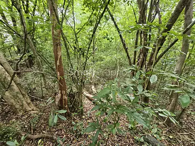 Terrain, 3 578 m²