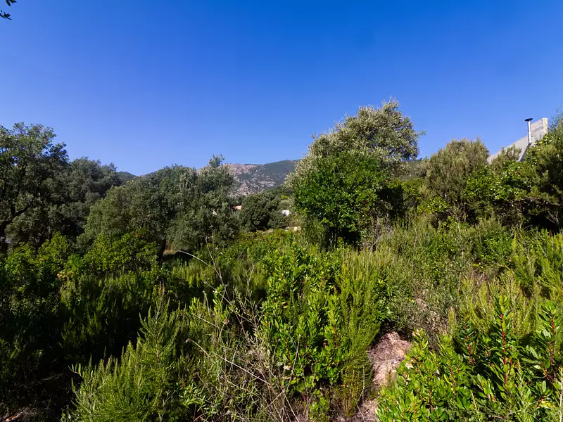 Terrain, 961 m²