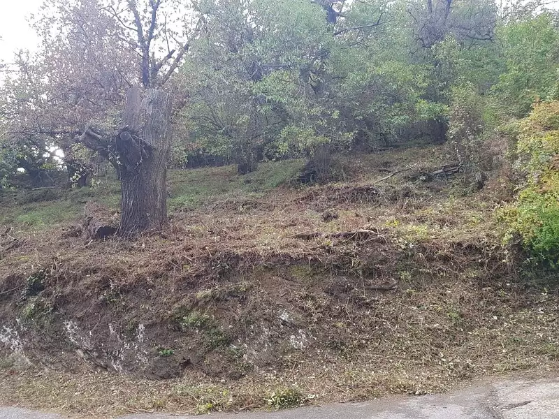 Terrain, 2 378 m²