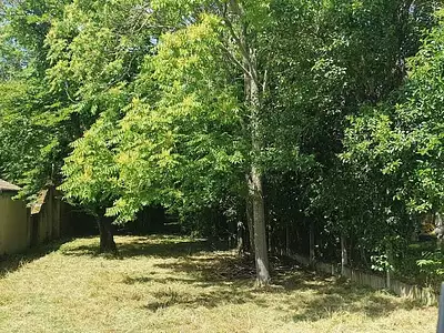 Terrain, 585 m²