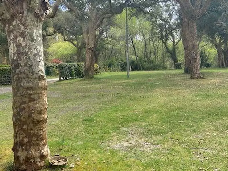 Maison, 200 m²