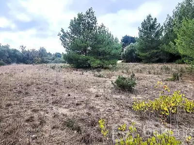 Terrain, 1 350 m²