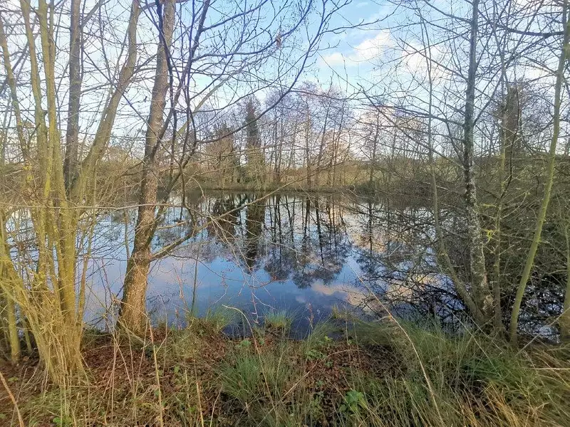 Terrain, 17 370 m²