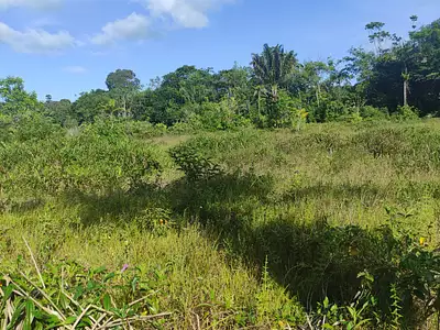Terrain, 930 m²