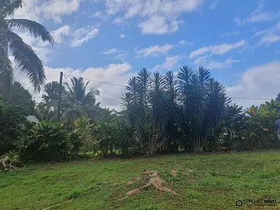 Terrain, 1 949 m²