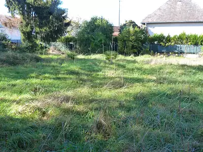 Terrain, 874 m²