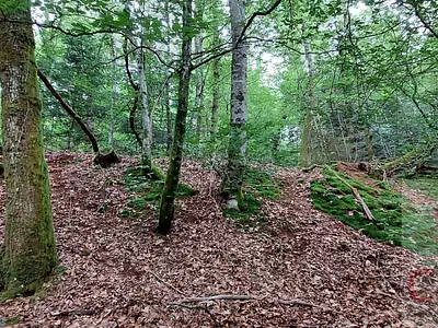 Terrain, 9 088 m²