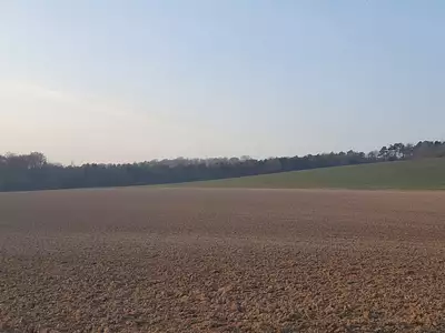 Terrain, 6 024 m²