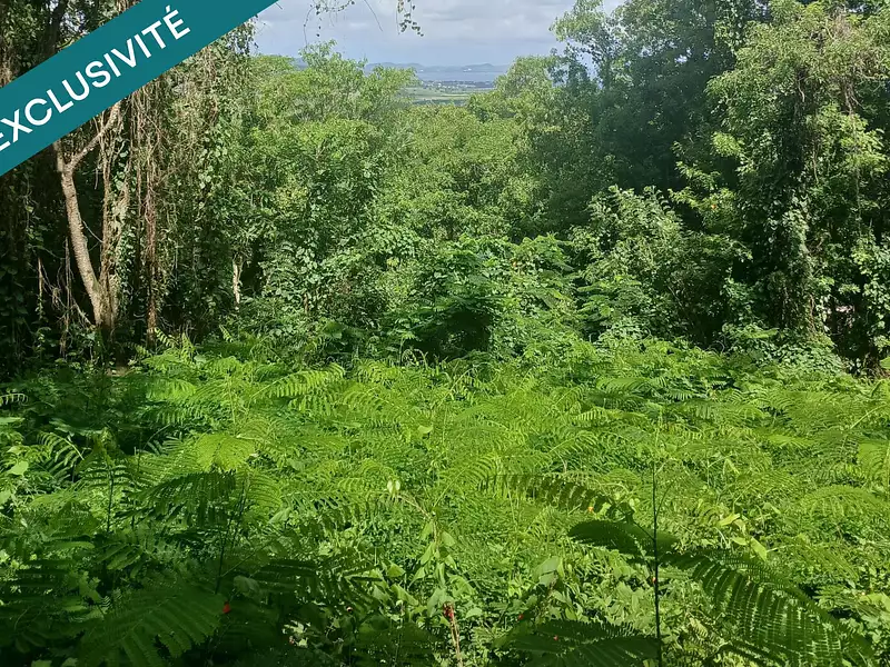 Terrain, 1 358 m²