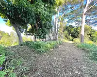 Terrain, 1 000 m²